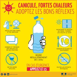 Canicule